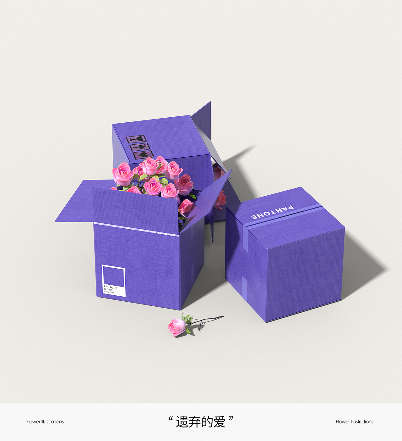 Flower Illustrations