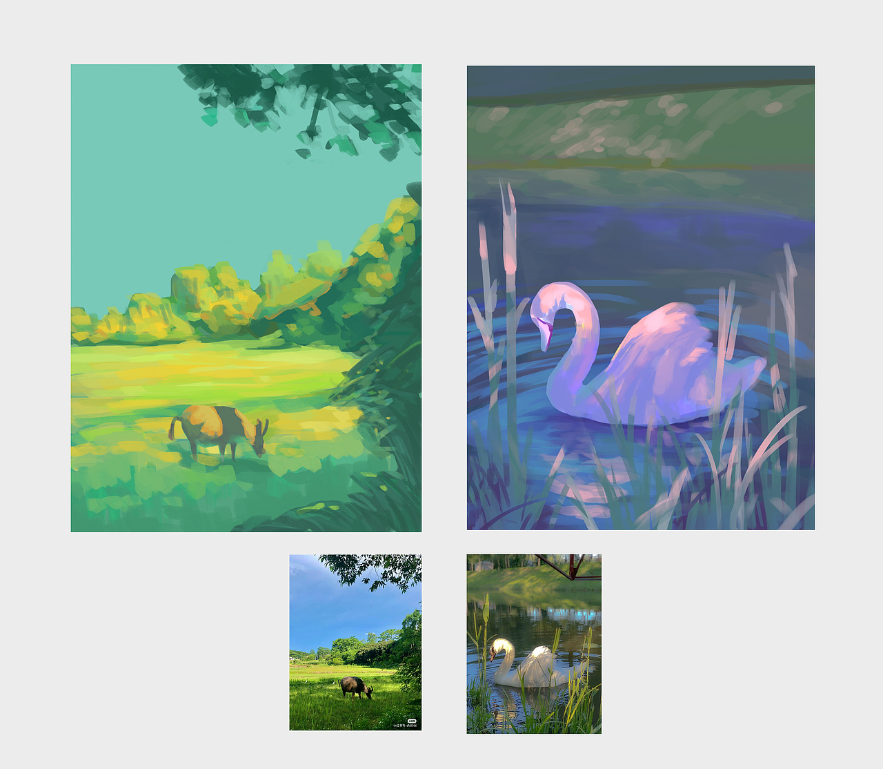 色彩派对30天速途挑战 Day13