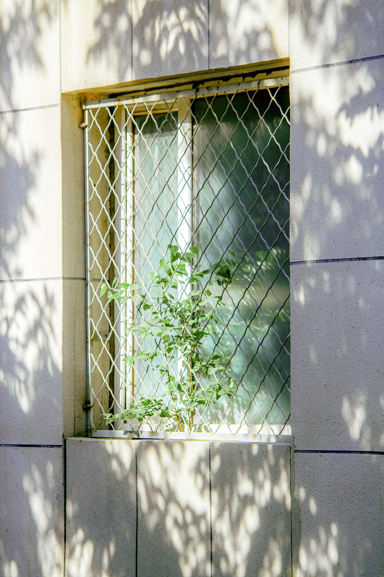 摄影组照-阳光所在之地 Where the Sun Shines（图ZMzUzMjk1ODU2） - 环境/建筑摄影 - 站酷设计师ThankRachel原创素材 - 站酷ZCOOL