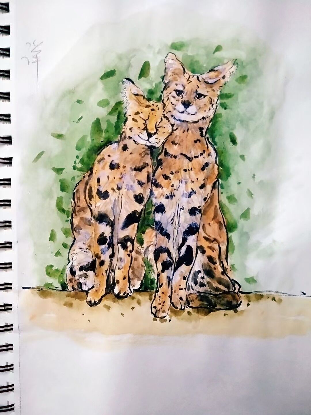 缤纷的动物世界2