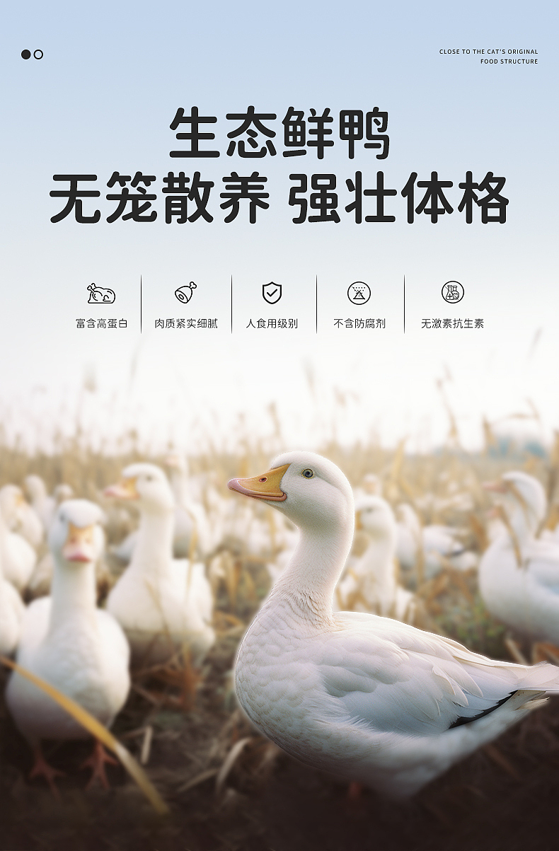 猫粮详情页设计