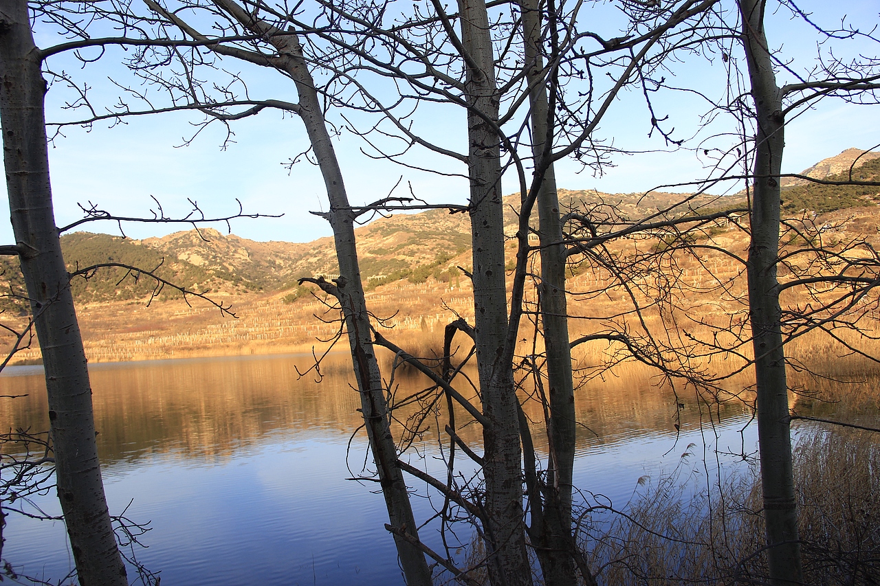 茶山水库风雪后