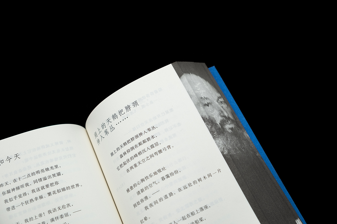 俄羅斯純藝術派詩叢