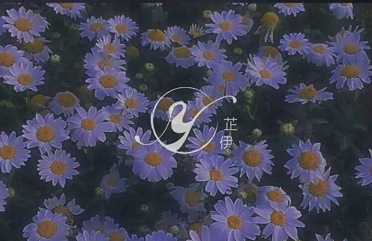 美业logo-芷伊
