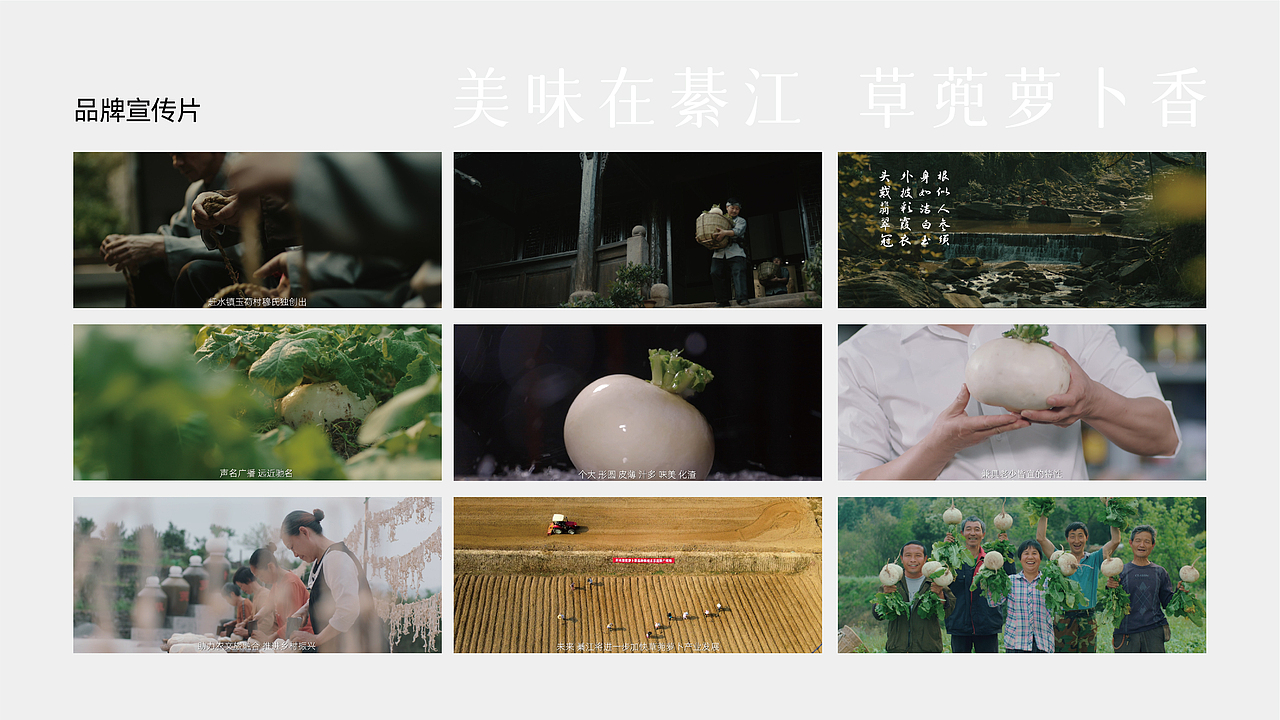 綦江赶水萝卜品牌全案策划