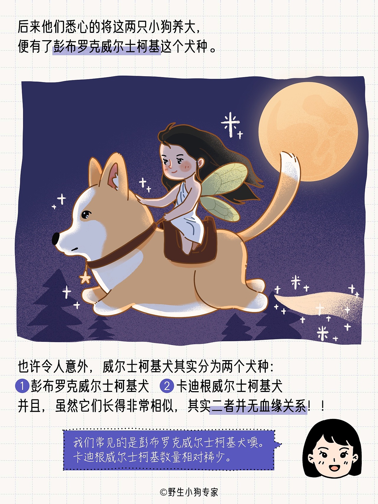 柯基犬小百科：女王与小短腿的故事（图ZMzE3MDc1MDIw） - 短篇/格漫 - 站酷设计师北北北辰beichen原创素材 - 站酷ZCOOL
