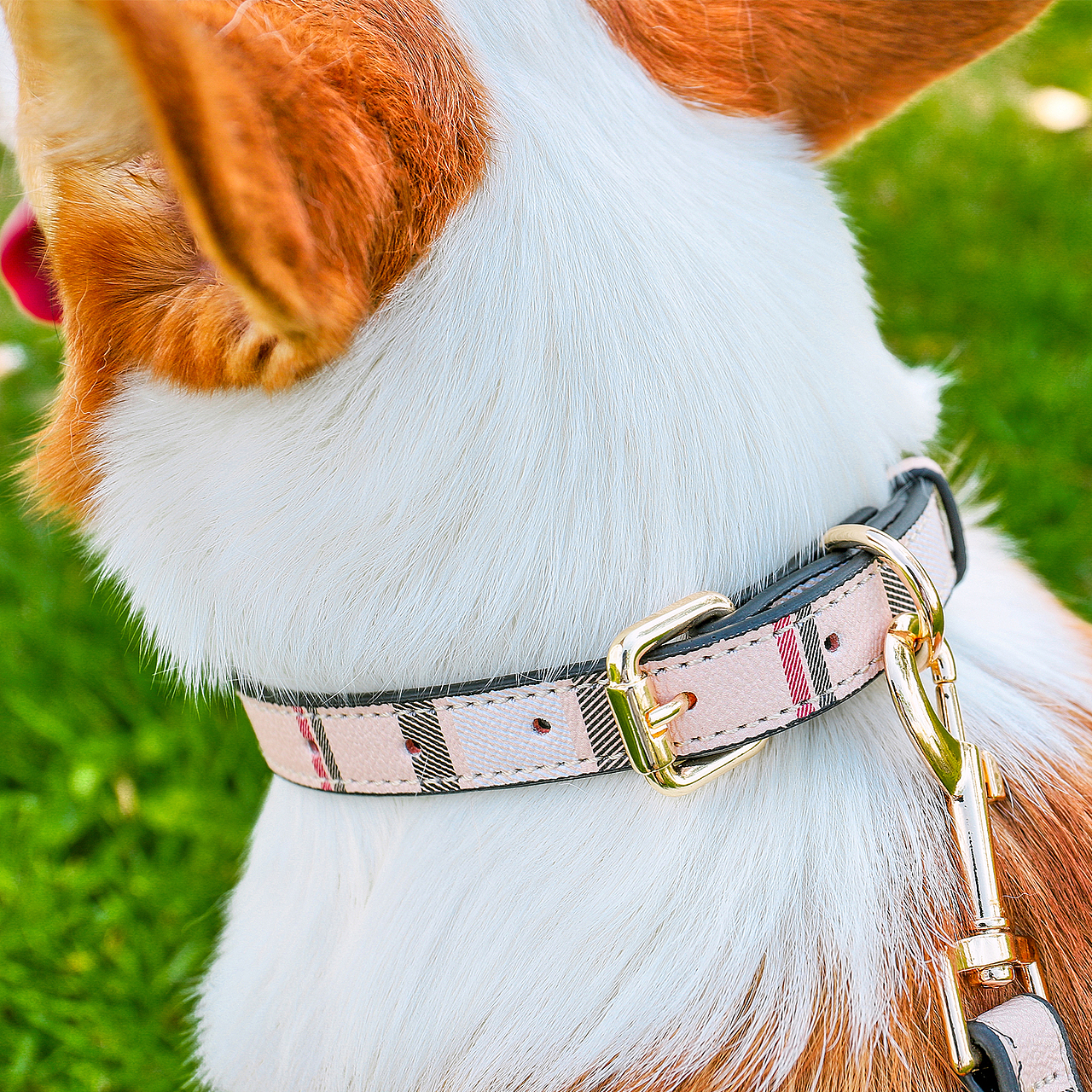 狗项圈|亚马逊宠物产品拍摄主附图设计