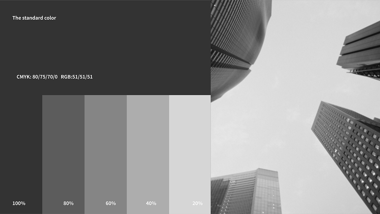 国控集团品牌设计(飞机稿)