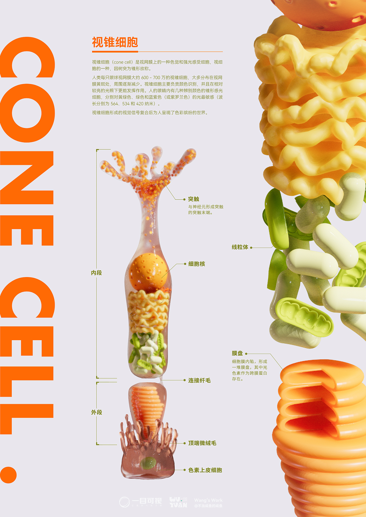 2023医学可视化作品合集（图ZMzU5MjA0NDgw） - 创作习作 - 站酷设计师不当咸鱼的咸鱼原创素材 - 站酷ZCOOL