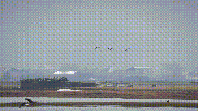 《灿烂的前行》节目包装（图ZMzE2MDcwNTAw） - 影视后期 - 站酷设计师小飞侠文化原创素材 - 站酷ZCOOL