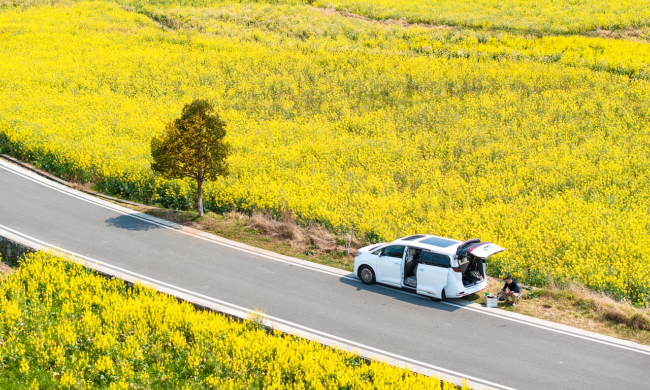 阳光恰好油菜花与腾势D9碰撞相遇(贵定金海雪山)