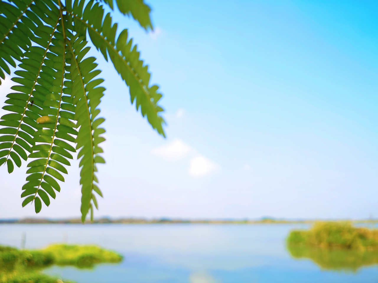 手机摄影 一片静心之地~（图ZMzM3NTk0MDg4） - 风光摄影 - 站酷设计师小小鸟不想飞原创素材 - 站酷ZCOOL