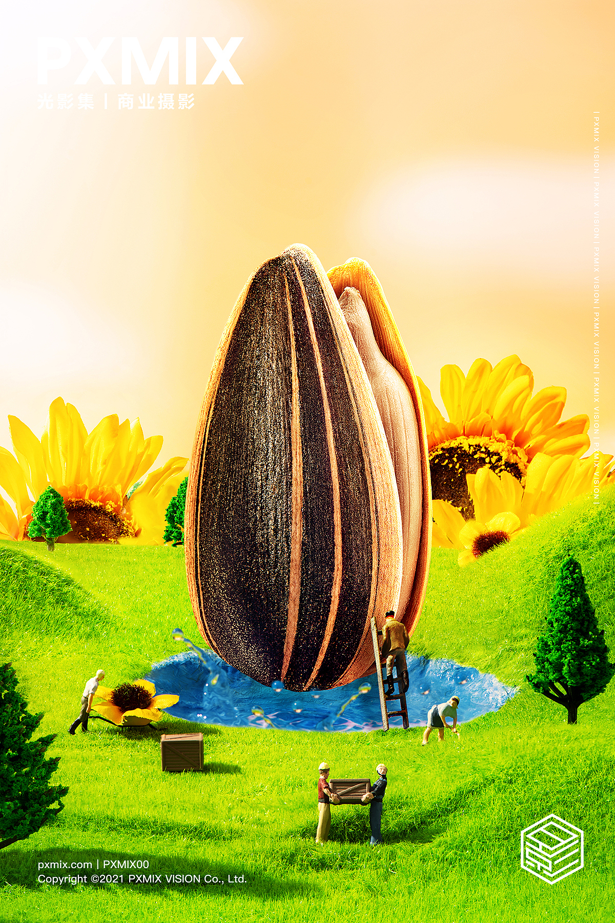 零食摄影丨洽洽 瓜子 x 光影集 pxmix