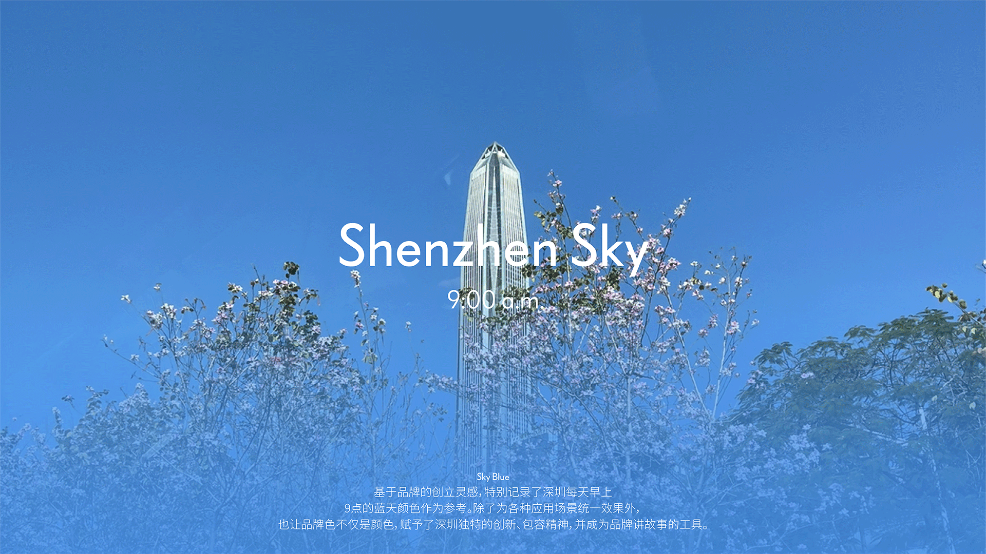 Something For 品牌升级全案|NYGDESIGN