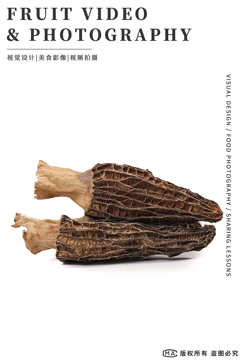 羊肚菌拍摄 野生羊肚菌 羊肚菌图片 菌菇产品摄影图