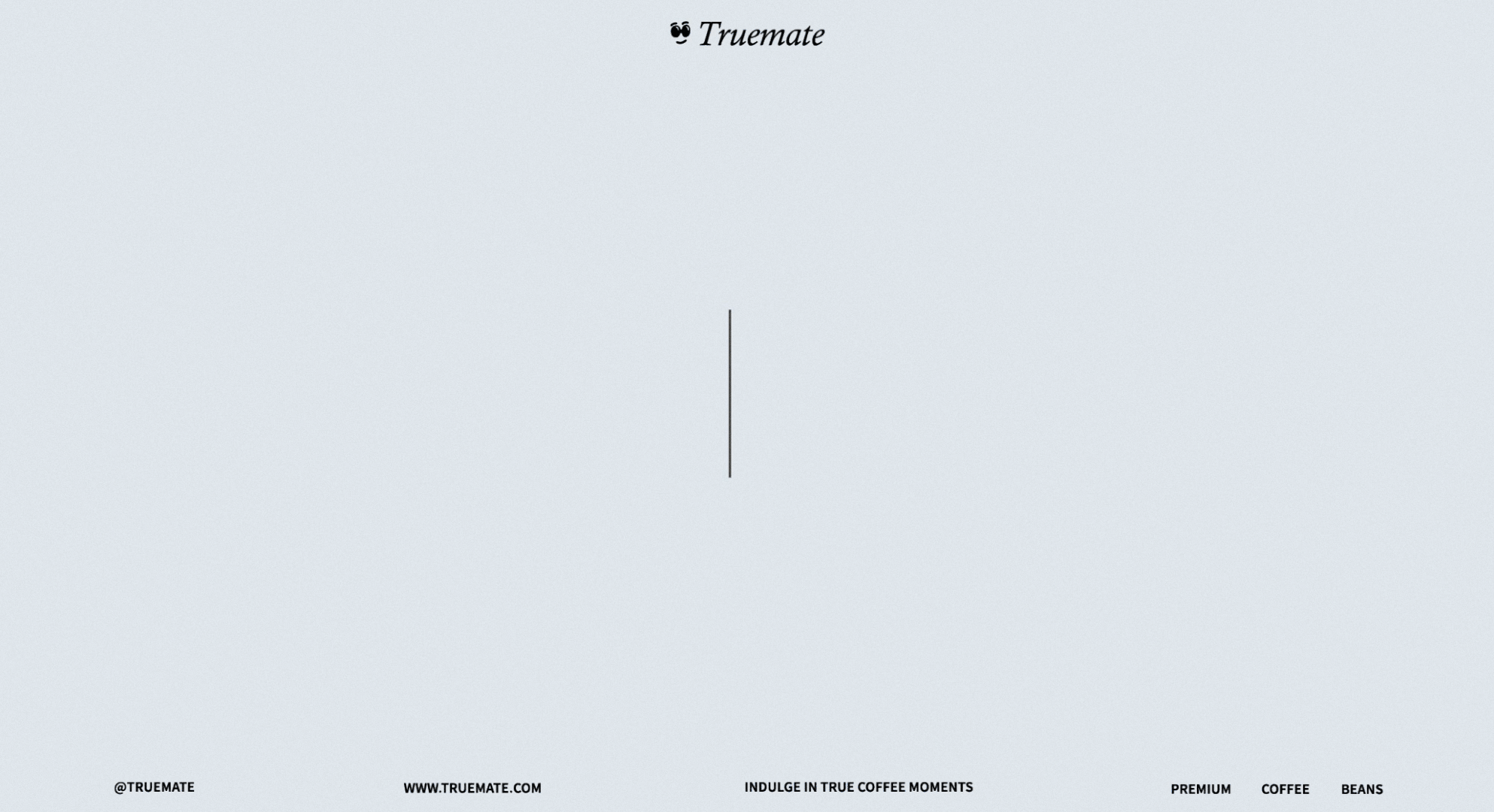 Truemate | 品牌包装设计（图ZMzQyODc1OTY4） - 品牌 - 站酷设计师BoldDesign原创素材 - 站酷ZCOOL