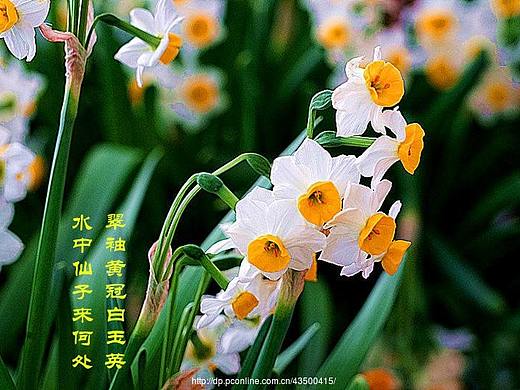 海内存知己（个人主页-ZNjA3NjQzMzY=） - IP形象 - 站酷设计师甘泉荒漠原创素材 - 站酷ZCOOL