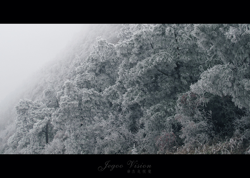 《那一场风花雪月的事》