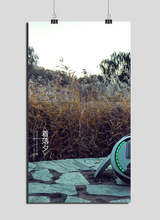 拍摄 随心所欲的拍摄