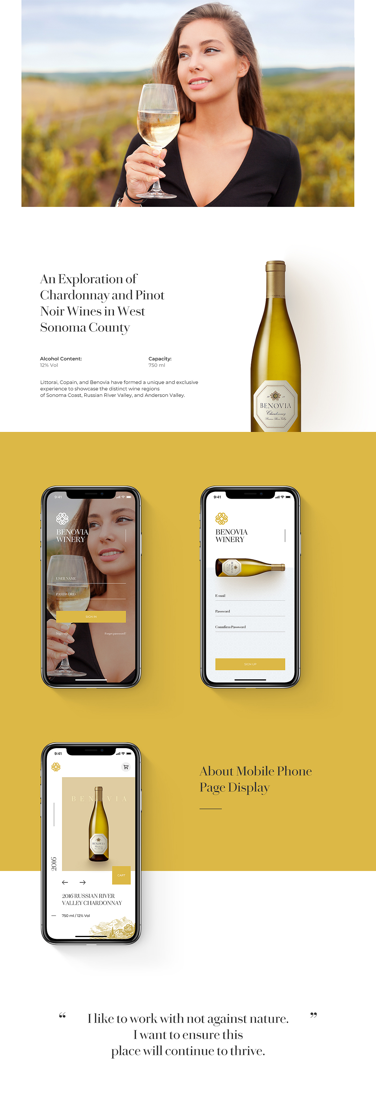 Benovia Winery 官网-概念设计