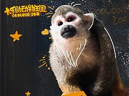 廣告詳情頁(yè)