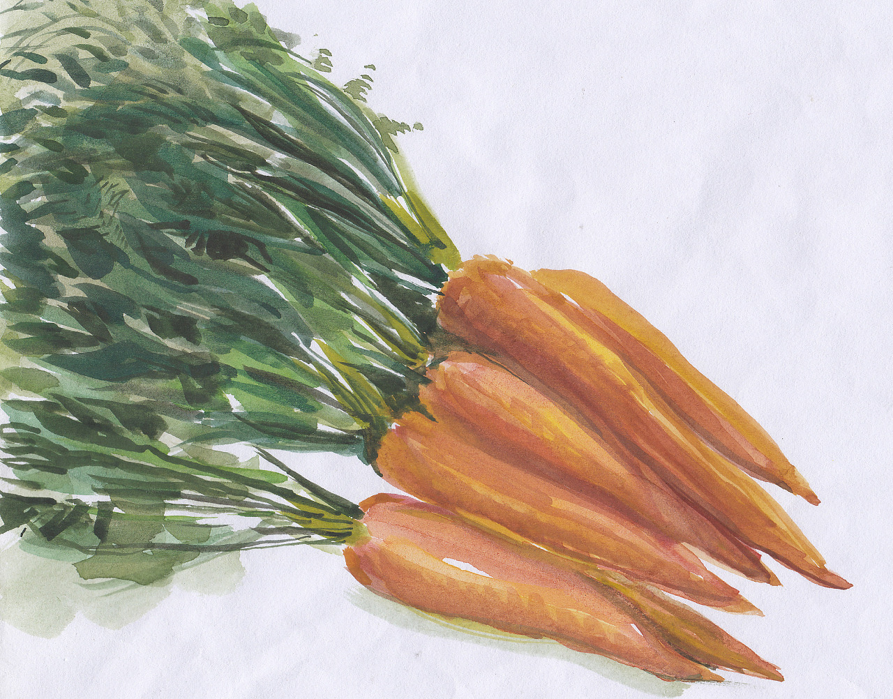 水彩蔬果|纯艺术|绘画|田红心 - 原创作品 - 站酷 (zcool)