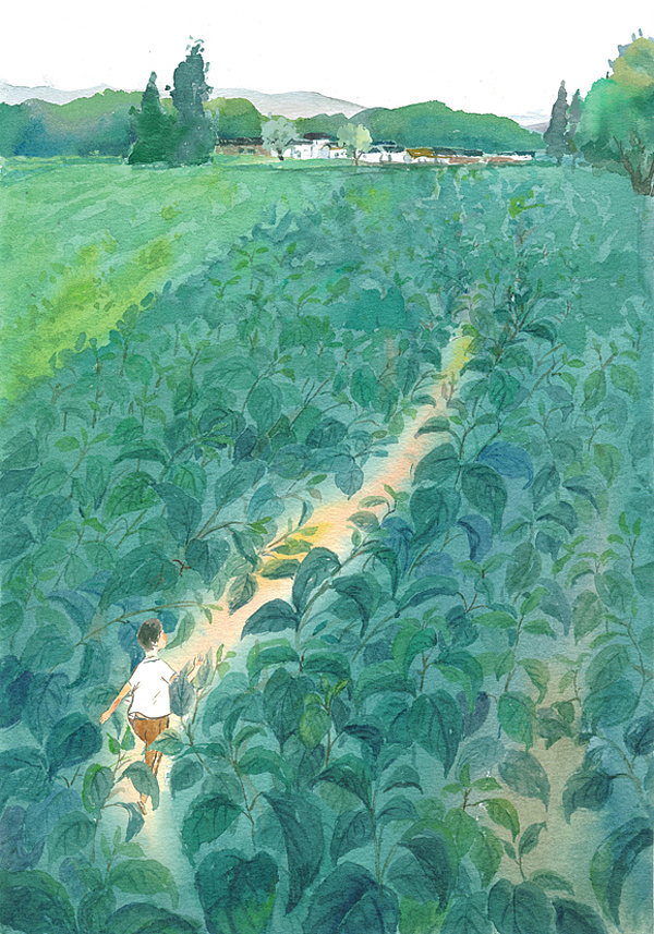 我穿过这片桑树林,他们像是一开始为我铺好了路