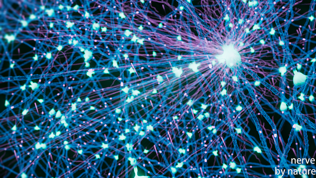 xp神经元效果练习