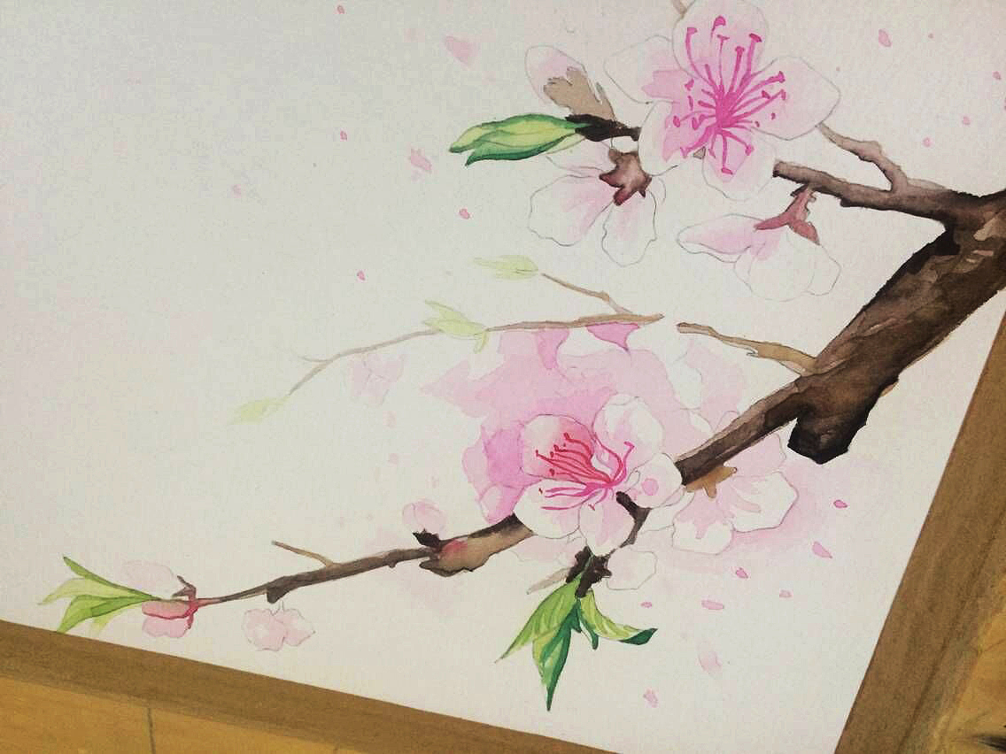水彩画练习-春花（图ZNzUzNzU5MDA=） - 商业插画 - 站酷设计师xiaohulu原创素材 - 站酷ZCOOL