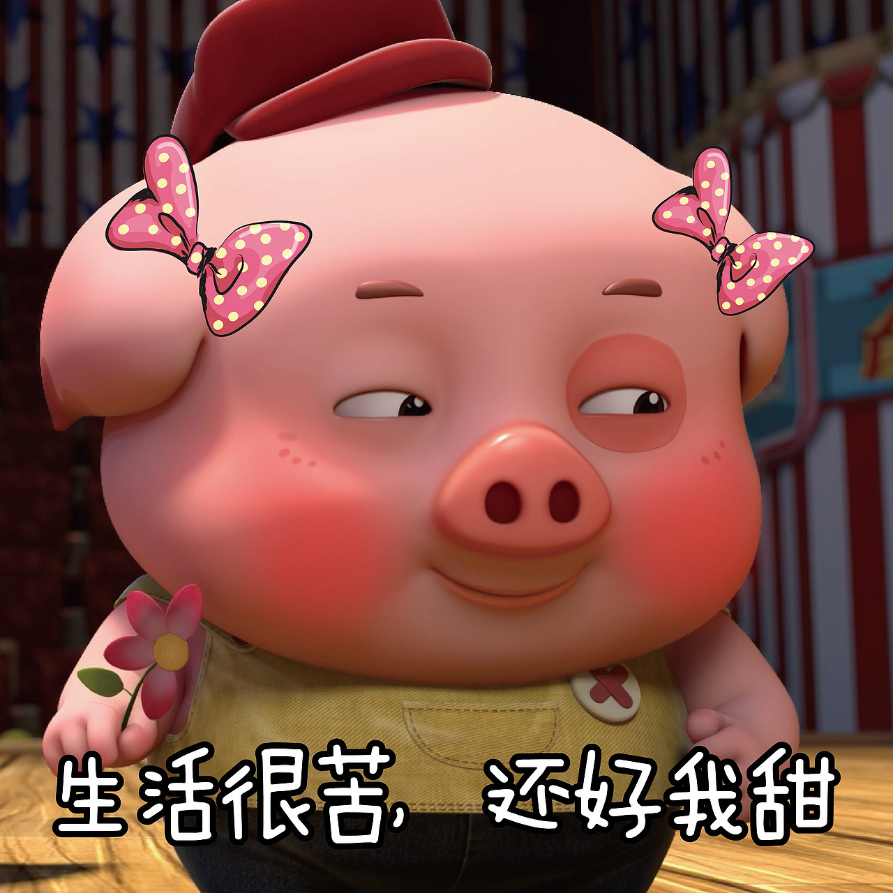 探探猫搞笑图片合集：你想要的我都给你！