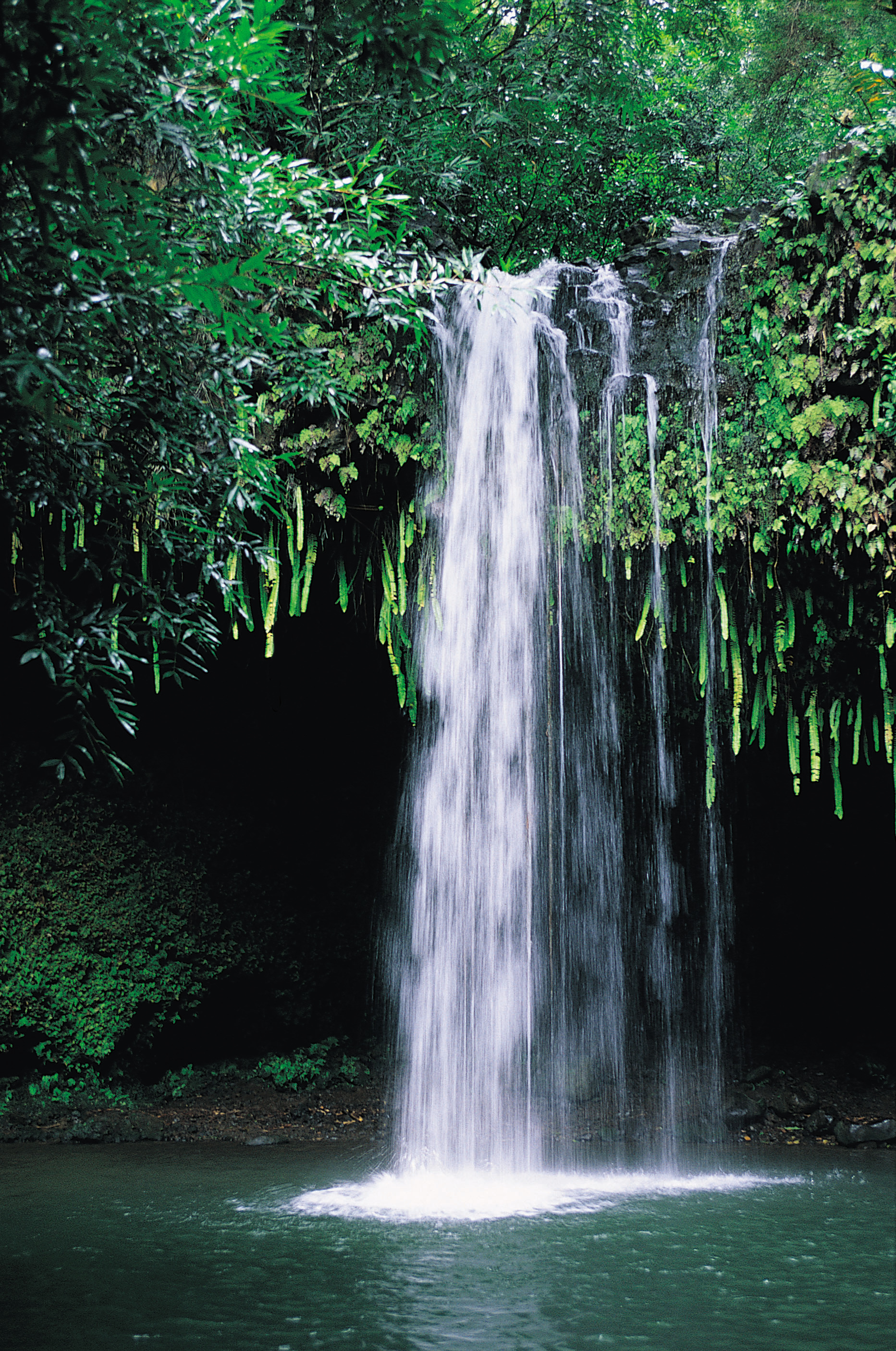 1865_2811竖版 竖屏