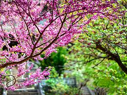 【思秋】之生活一角