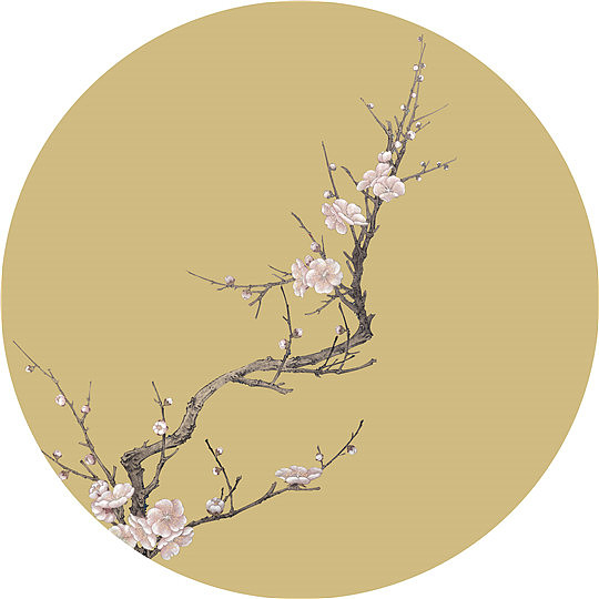 中式色彩华贵依然国风雅韵颂珍情