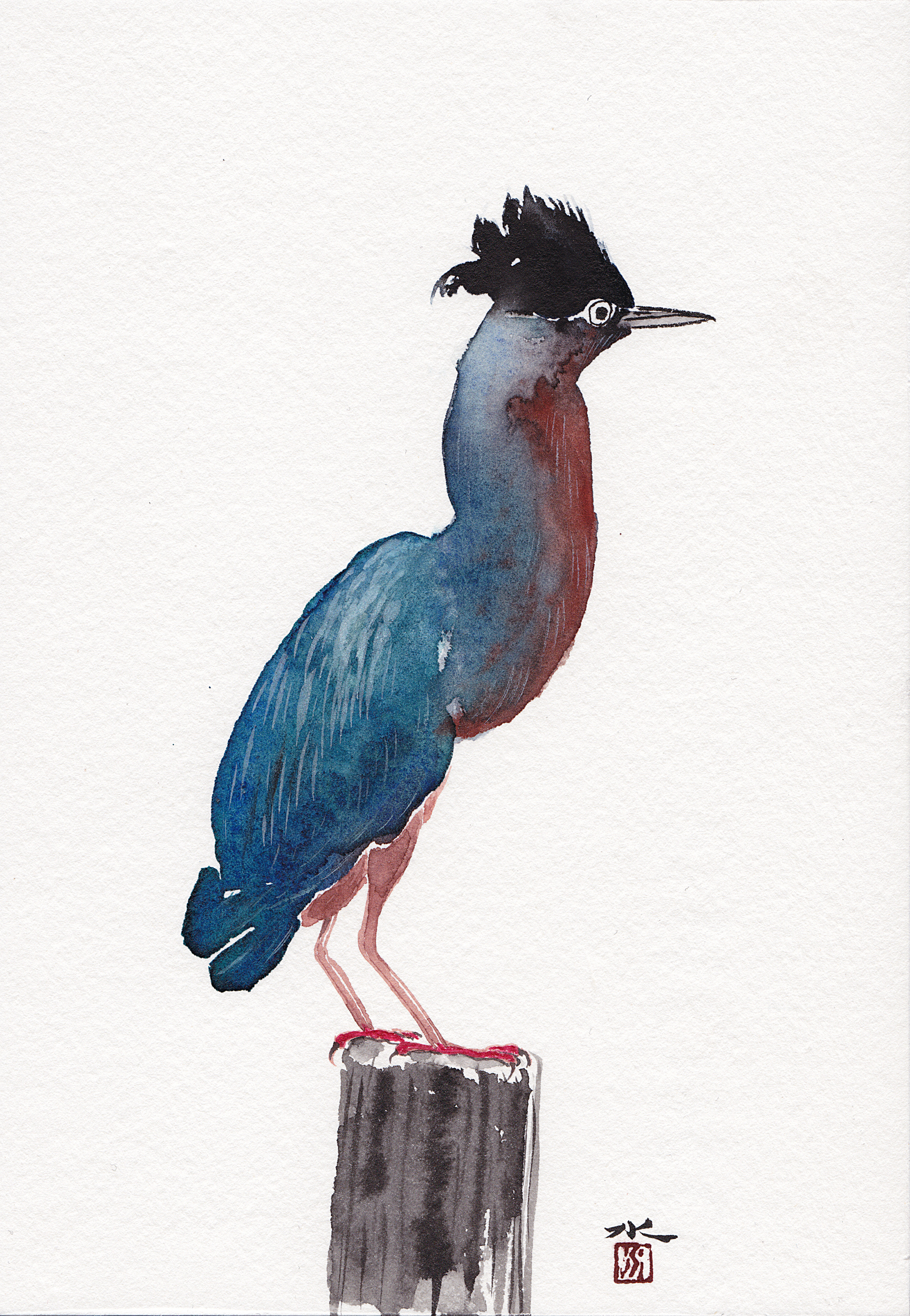 水彩《鸟系列》|插画|商业插画|我是水先生 - 原创作品 - 站酷 (zcool