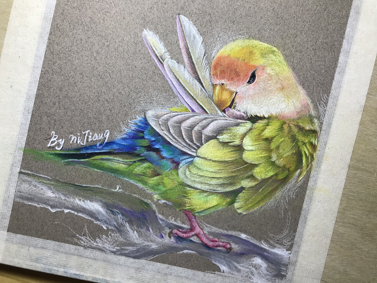 牡丹鹦鹉苹果绿