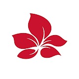 WYSstudio的头像