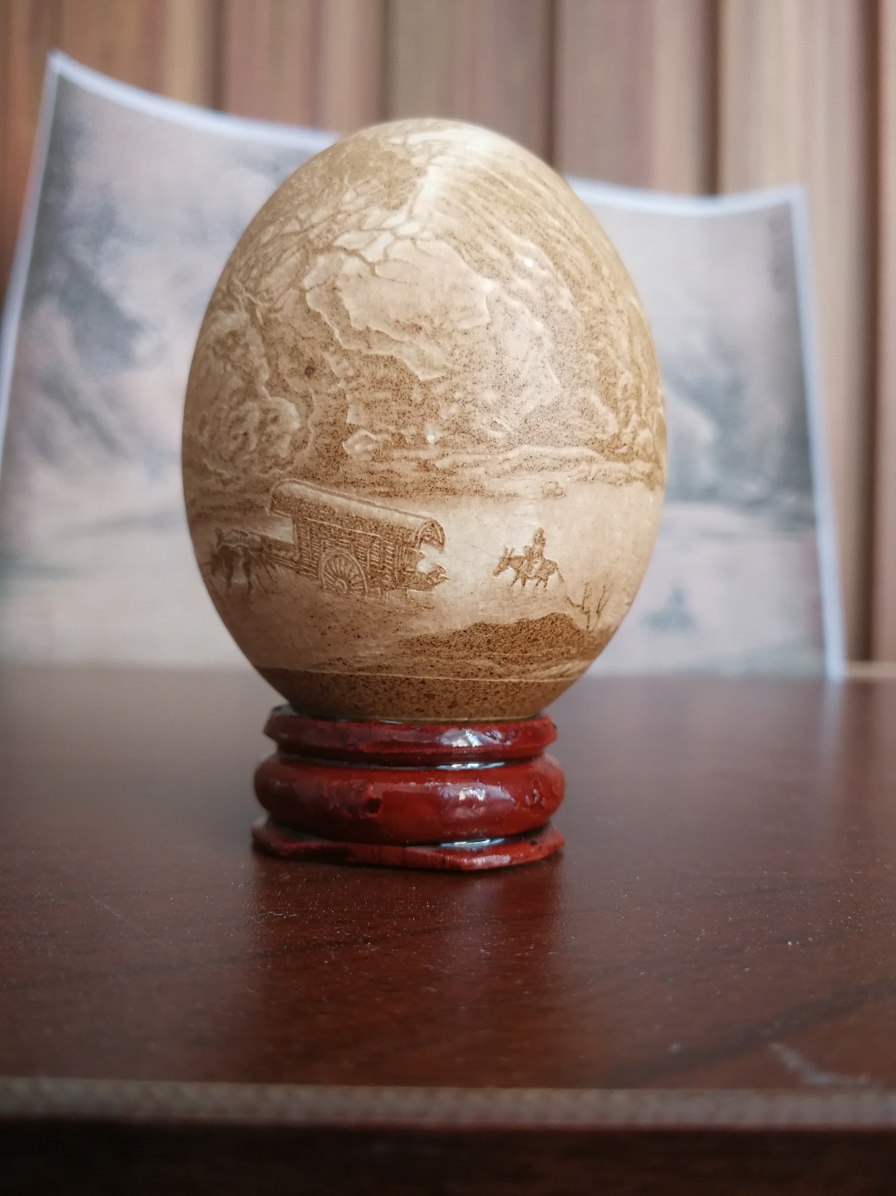 蛋壳里的宝贝图片素材-编号18141437-图行天下