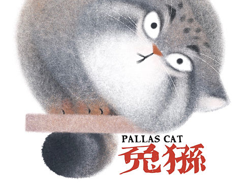 兔狲｜Pallas Cat