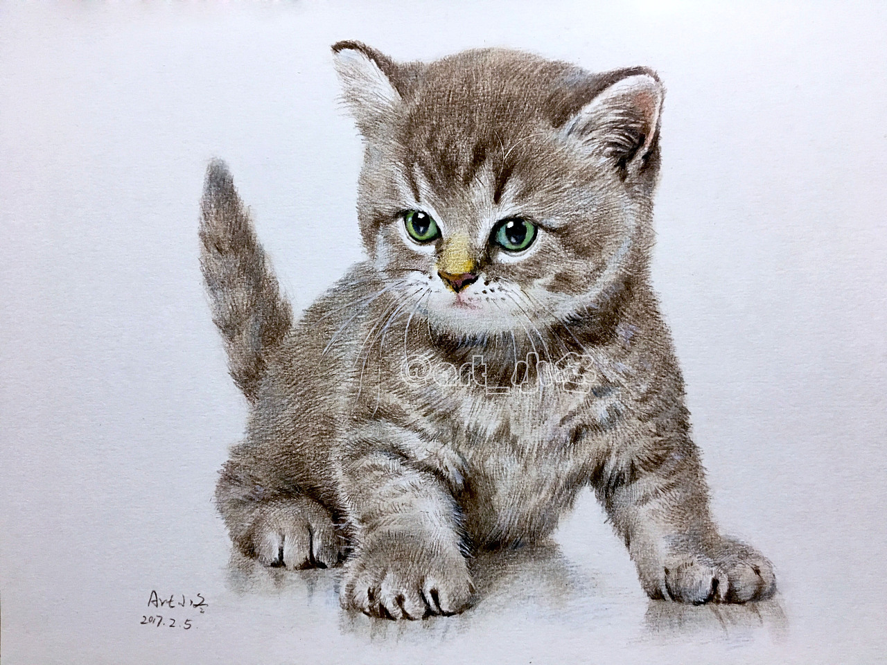 中国画工笔画—猫|纯艺术|绘画|阿扎 - 原创作品 - 站酷 (ZCOOL)
