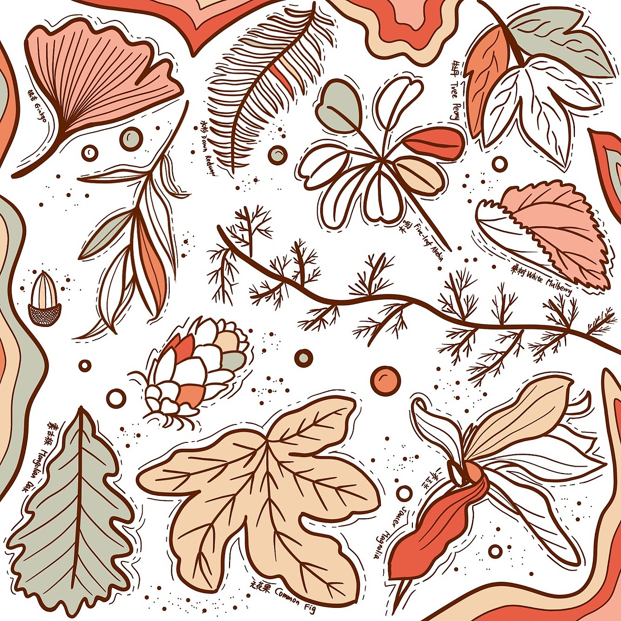 线条练习 植物（图ZMTg1NzI4NjA4） - 创作习作 - 站酷设计师睿妈晴朗原创素材 - 站酷ZCOOL