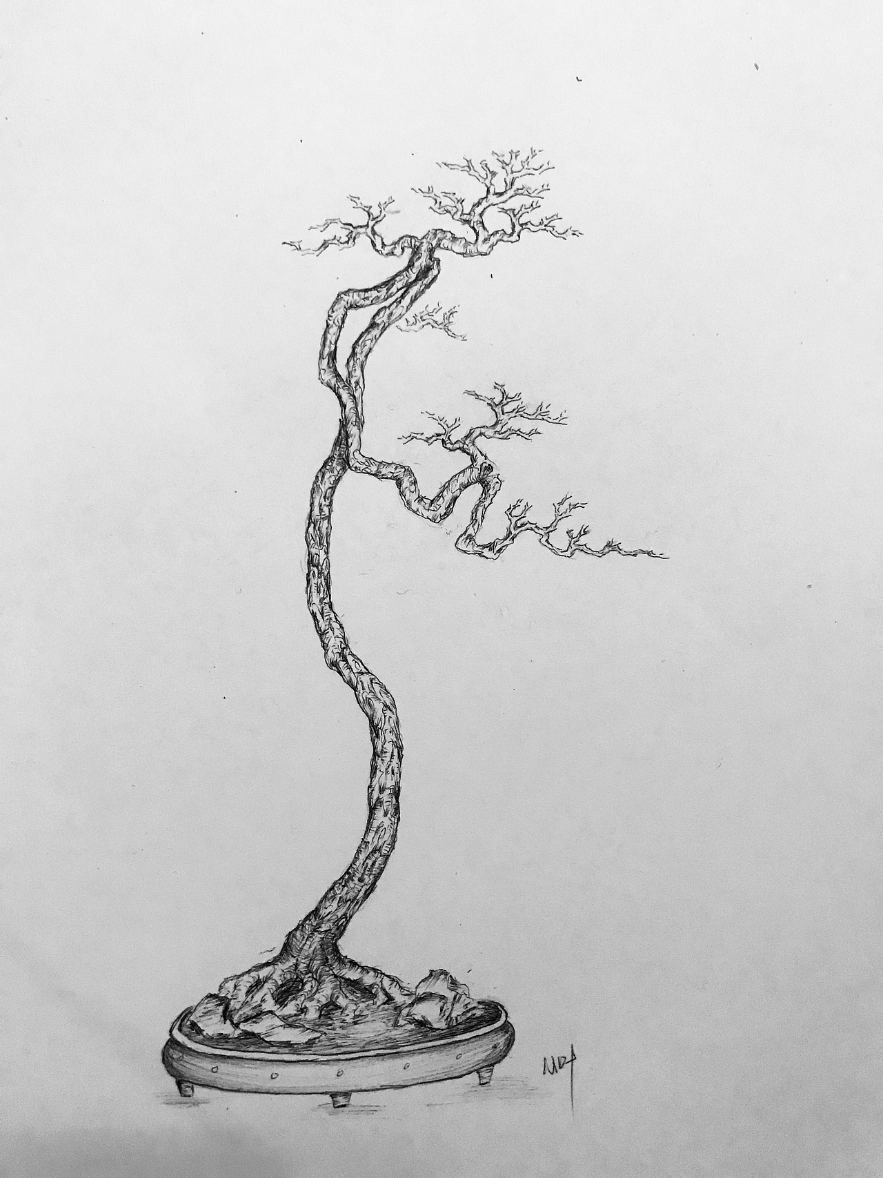 盆景（图ZMjUzMzMyNzIw） - 绘画 - 站酷设计师Z75835907原创素材 - 站酷ZCOOL