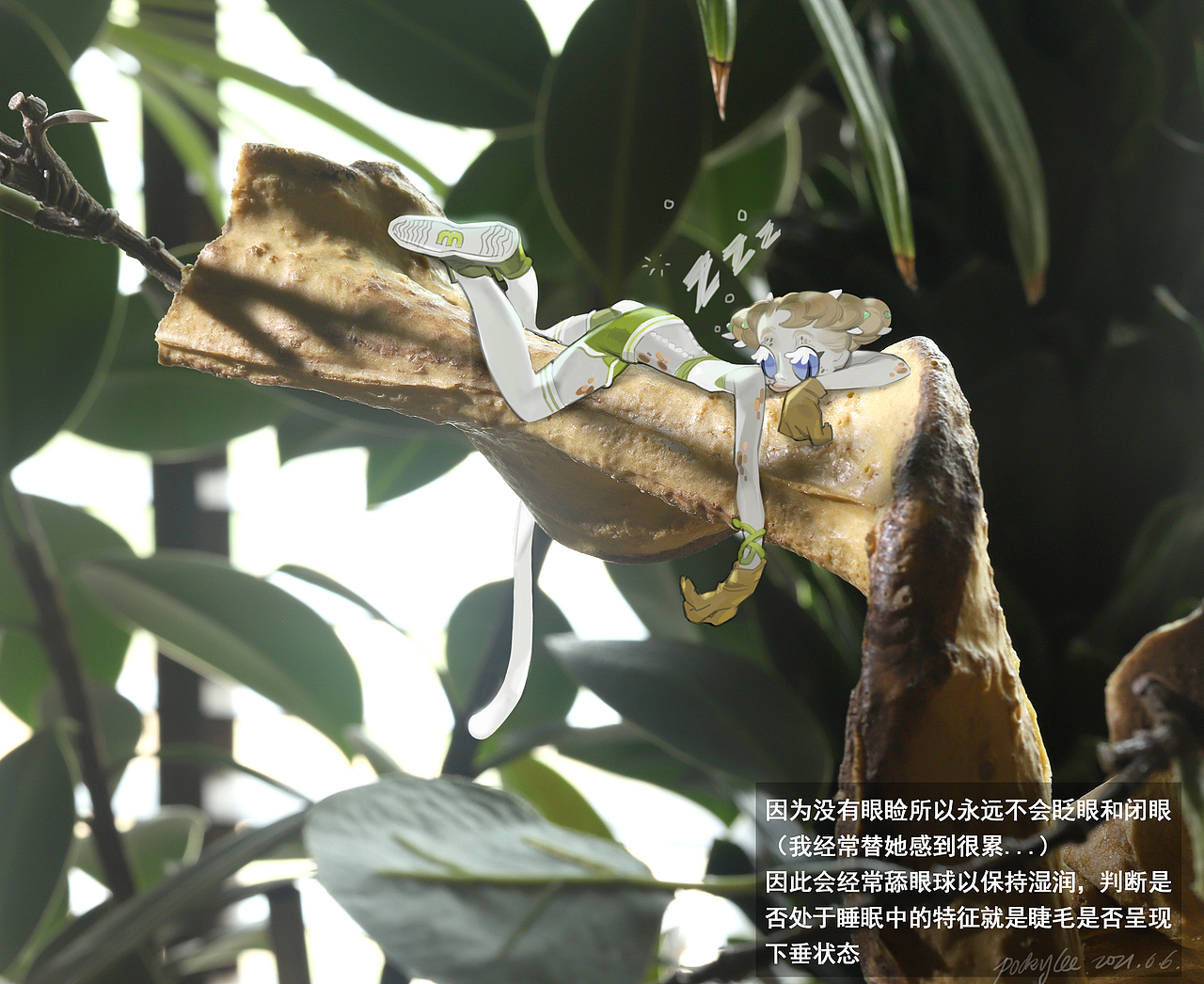 莉莉白3号的日常记录（图ZMjU3OTQwMTIw） - 其他 - 站酷设计师荞麦居士原创素材 - 站酷ZCOOL