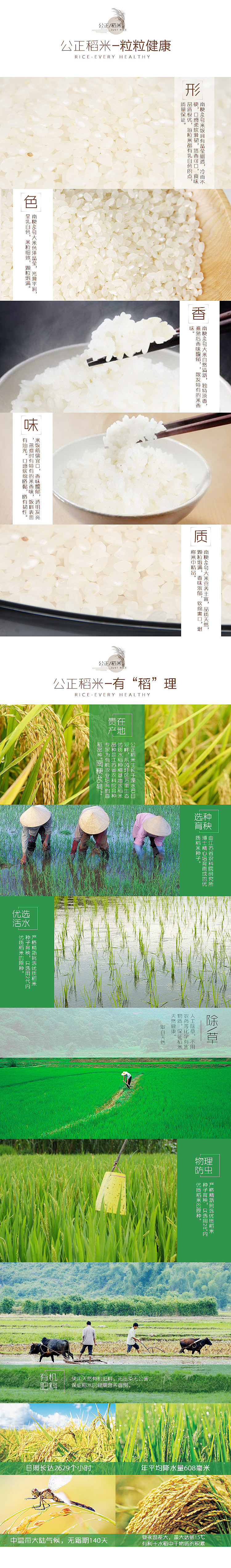 南粳46号大米详情页制作