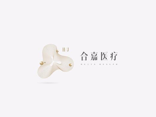 关于一个高端体检服务中心的两个提案。