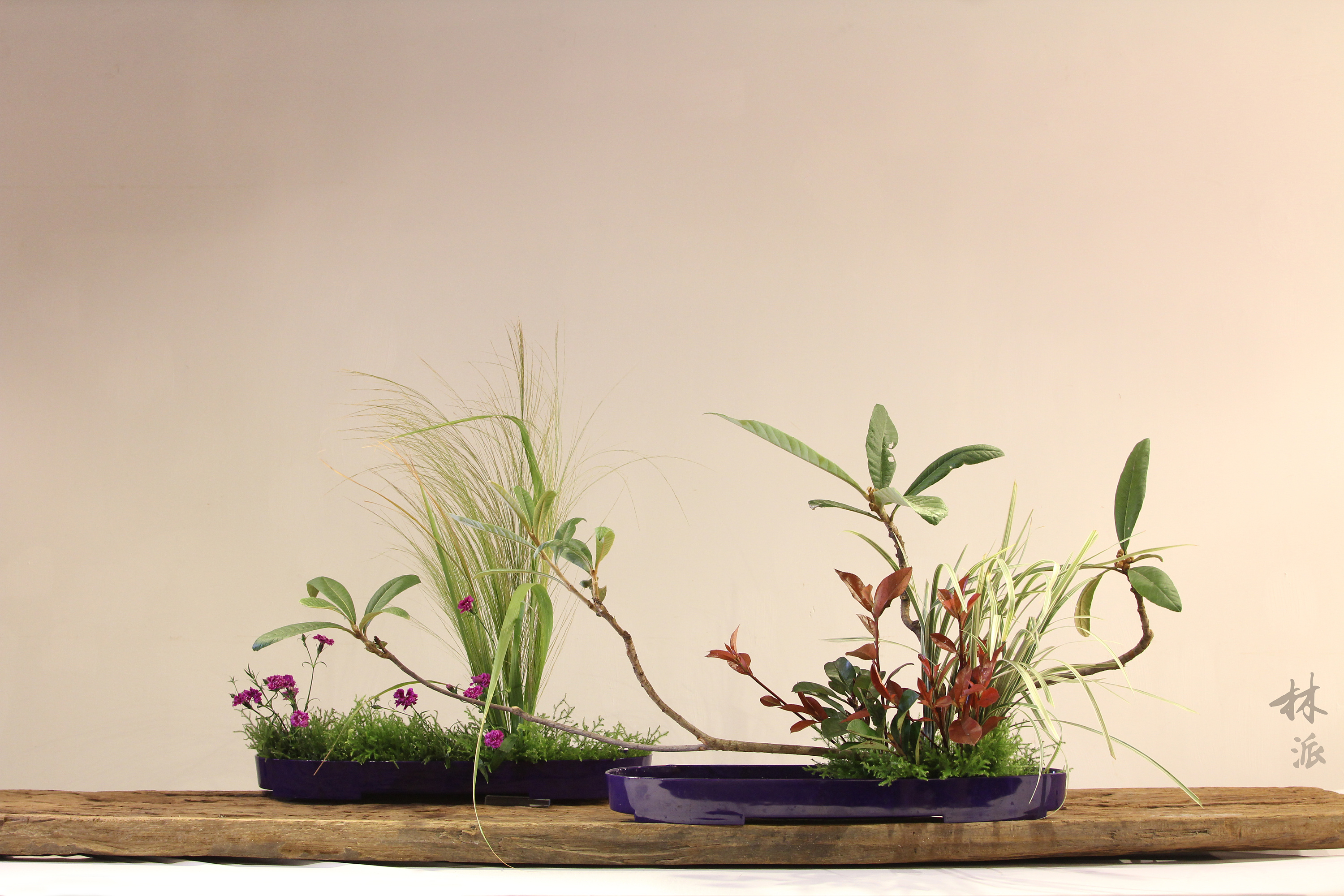 林派花道·《花漾年华》厦门大学美学讲座|纯艺术|绘画|林派花道