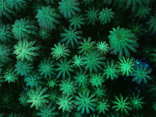 2017-商璞的一些杂念