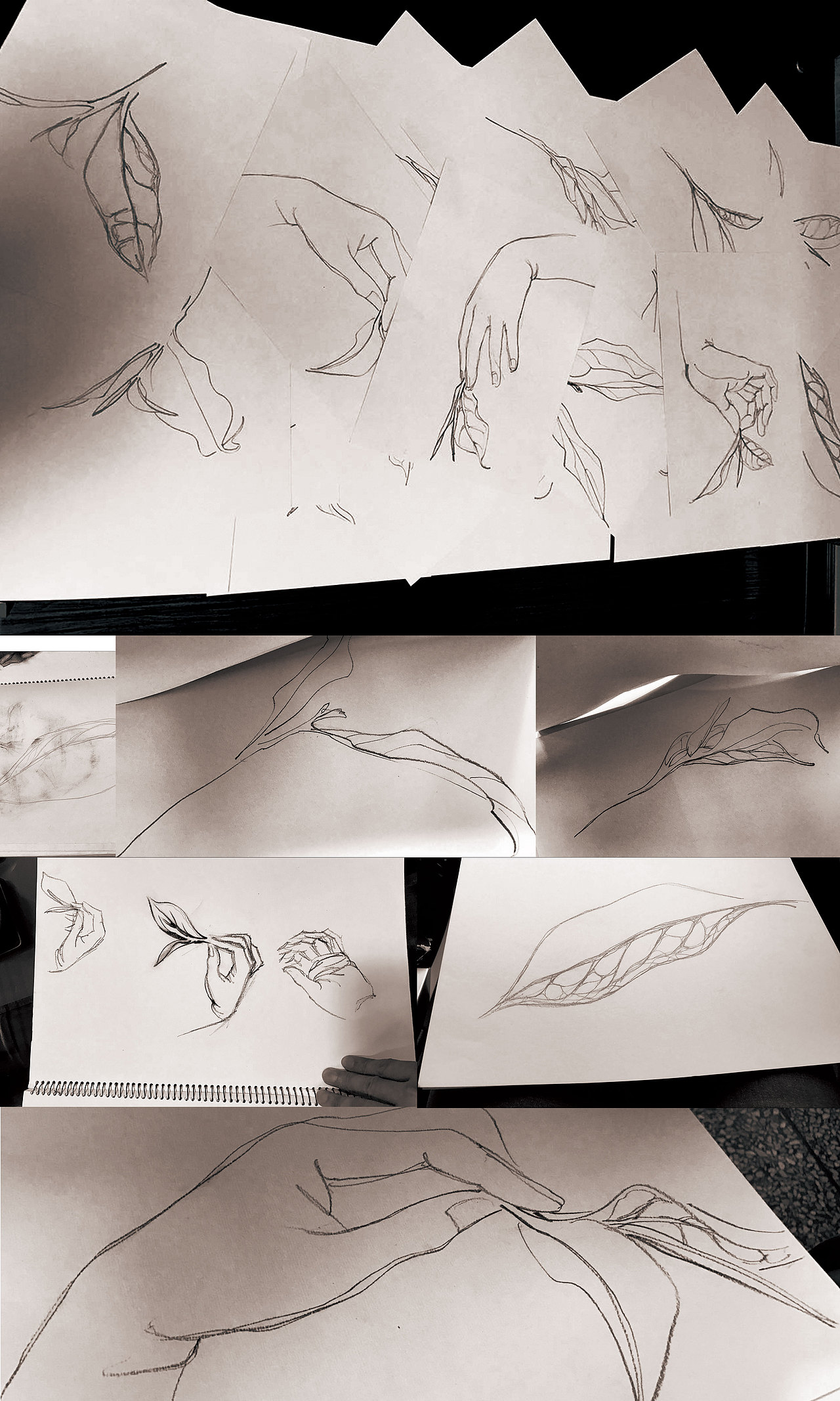 一家新的品牌茶vi设计（图ZNjQ2MTY2OTY=） - 品牌 - 站酷设计师子非乌鸦原创素材 - 站酷ZCOOL