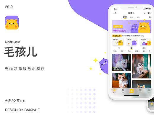 宠物领养小程序设计