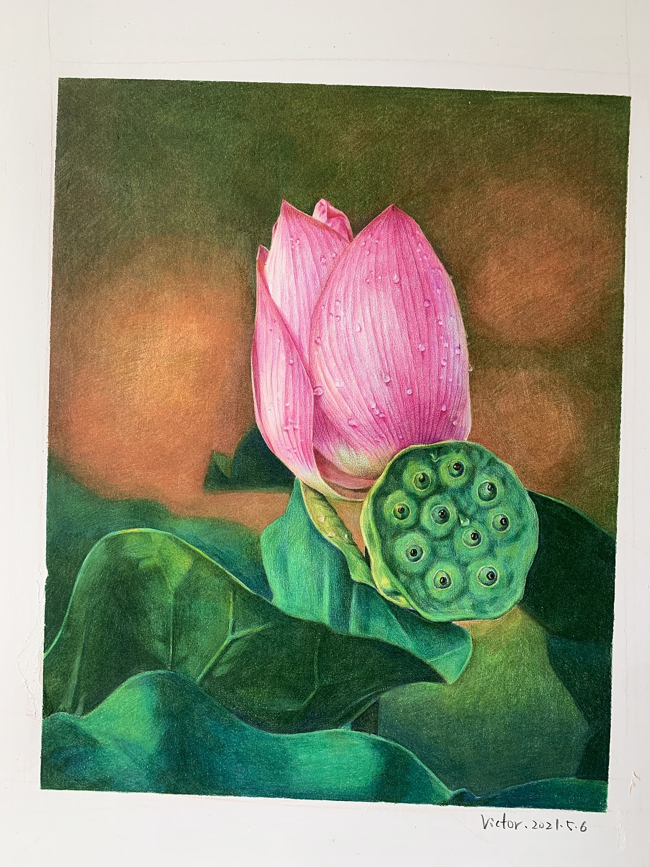 彩鉛荷花（圖ZMjUzNjE0MzEy） - 繪畫(huà) - 站酷設(shè)計(jì)師Z59248830原創(chuàng)素材 - 站酷ZCOOL