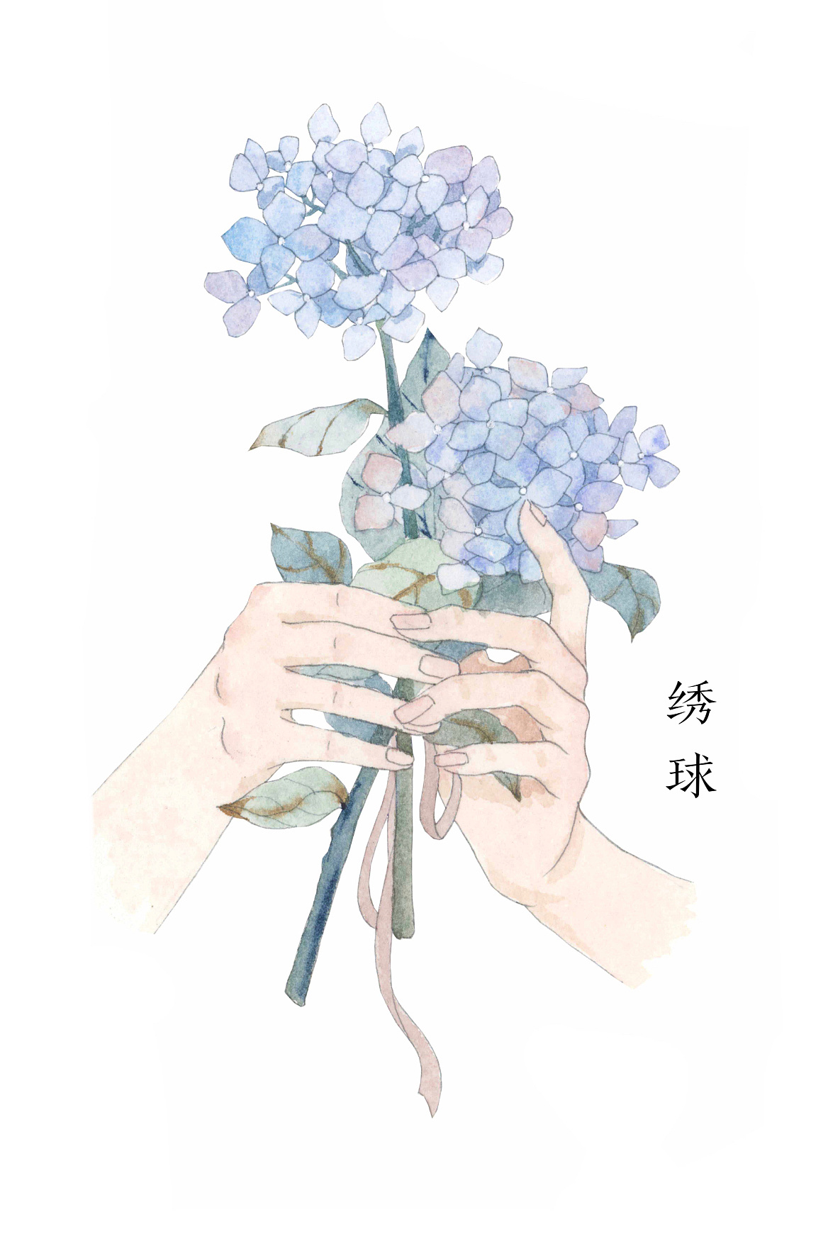 一组手捧花